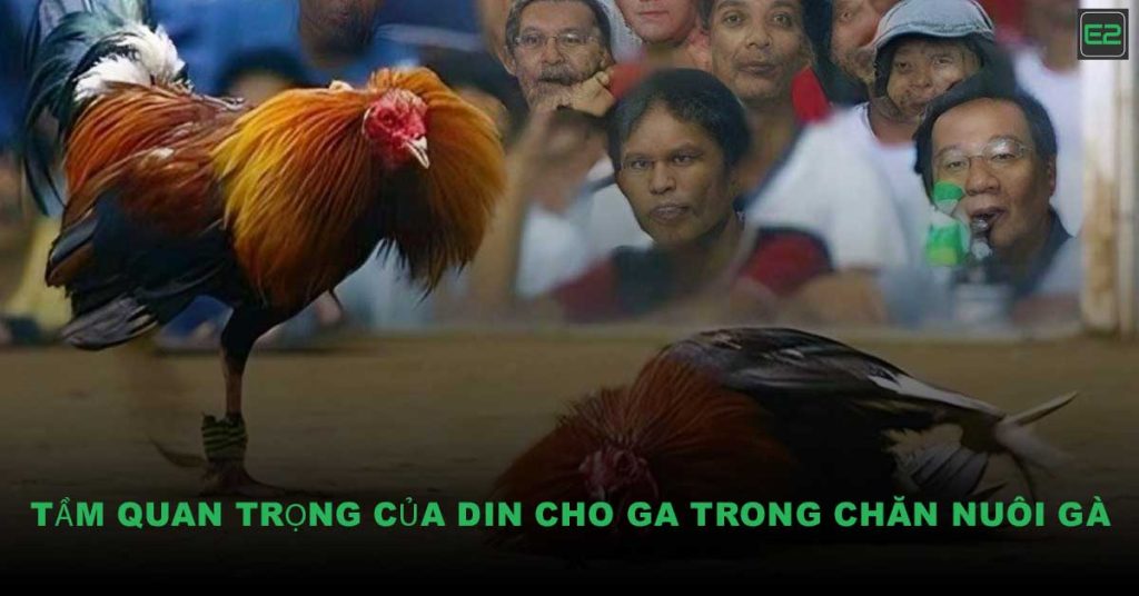 din cho ga
