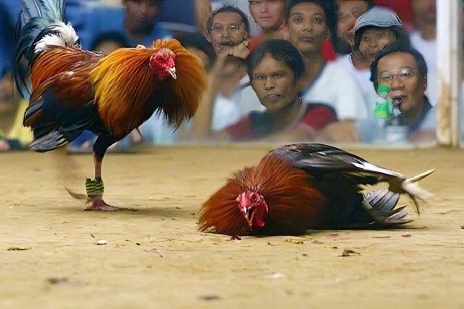 din cho ga